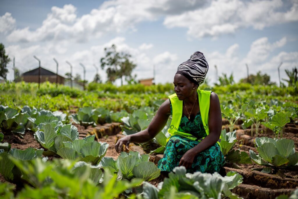 Landwirtschaft Uganda - Flüchtlinge versorgen sich selber.