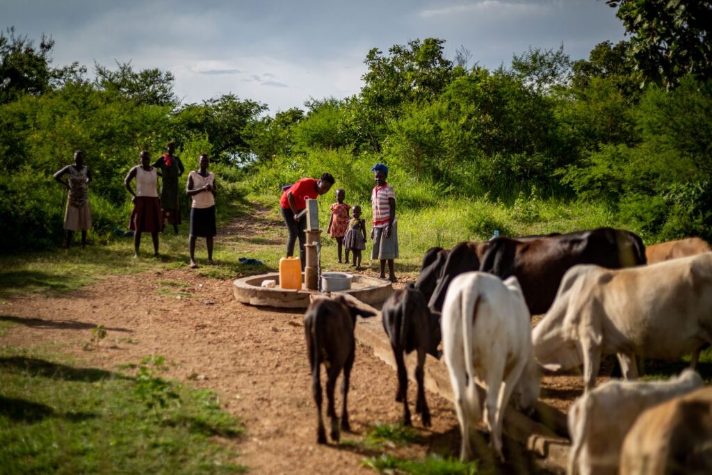 Wasser und Brunnenbau in Uganda fördert die Landwirtschaft und Viehzucht.