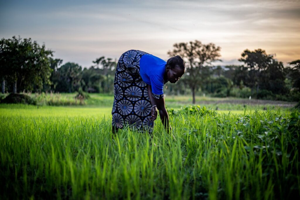 SMART Projekt Landwirtschaft Uganda Flüchtlinge